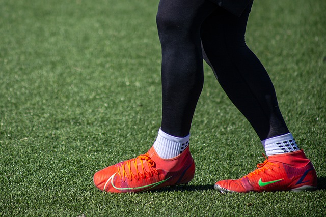 藉阿蘭與費 藉阿蘭與費