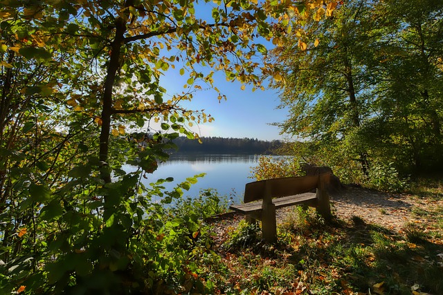 了附加赛的 了附加赛的