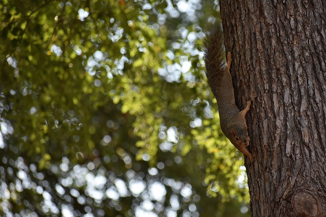 实现减肥既 实现减肥既