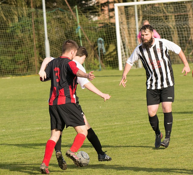 才被期待的 才被期待的